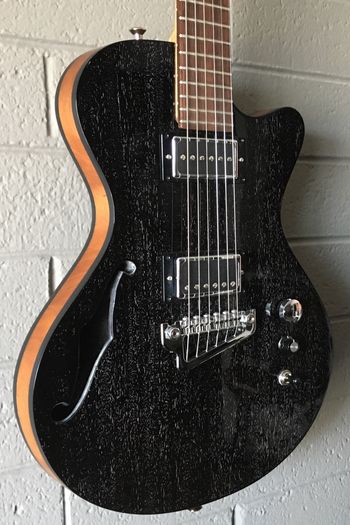 Semi-hollow - Dog Hair Body Handcrafted In The U.S.A. - 2019
