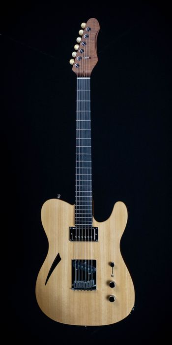 Lippi Box Guitars - Lippi-T with Arcane Pickups
