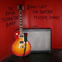 Don't Let The Guitar Player Sing by The David Thornton Band