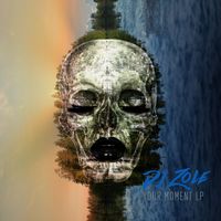 Your Moment LP by Dj Zole