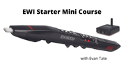 EWI Start Up Mini-Course Videos