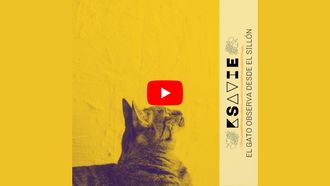 tema como un politico de ksavie