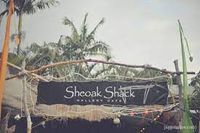 Live Music w Pete Roberts @ The Sheoak Shack - Fingal Head