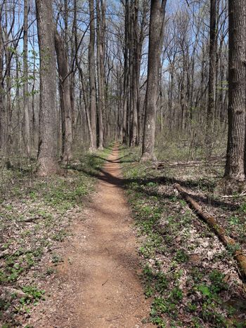 Appalachian Trail
