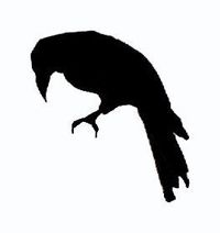 Dark Songs 2020 Part 2 ONLINE