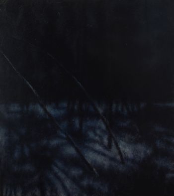 Dave Niec "Forest Under Full Moon"
