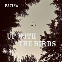 Up With The Birds by Patina