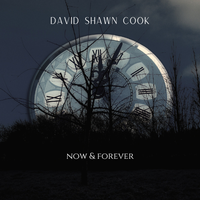 Now & Forever by David Shawn Cook