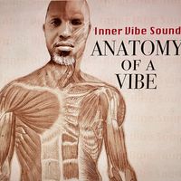 Anatomy Of A Vibe by Inner Vibe Sound