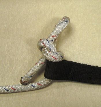 Go through the small loop end of the strap and tie a slip knot. Be sure the slip releases by pulling on the tag end of the lead.
