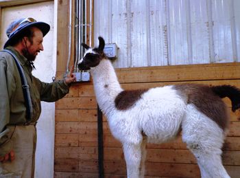 Bill teachs Lynda to get weighed
