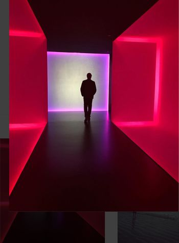 Dutch Rall lost in James Turrell.
