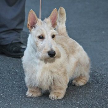 Kinkaku in Japan - 4 months  old
