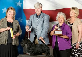 Jack winning Best in Sweepstakes at the Greater Dallas Scottish Terrier Club specialty show in July 2014!
