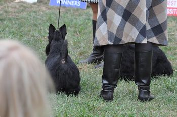 Yoshi showing up his excellent butt at Morris & Essex
