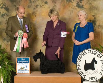 Winning BEST IN SWEEPSTAKES at the Scottish Terrier Club of America National Rotating Specialty - April 6, 2013, under breeder-judge, Rod Ott.
