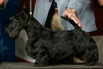 Closeup of Jack at 6 months of age
