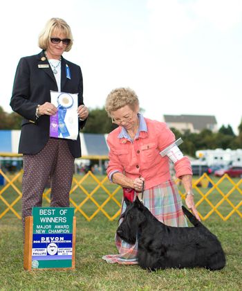 Yoshi winning Winner's Dog and Best of Winners at Devon Dog Show Assn. during the Montgomery County weekend 2013.
