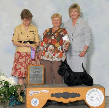 Tweed, Rosie and me during his first show weekend. He came home with a major and 6 championship points!
