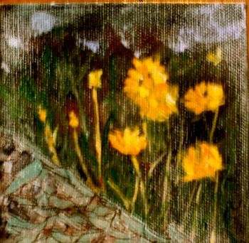 Title: "Wild Flowers/Lake Superior Provincial Park" This flower is called the "Lance-leaved Coreopsis"...available...$40.00 + shipping
