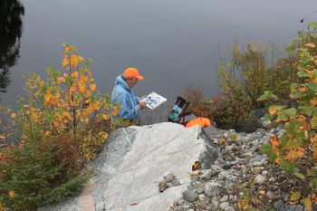 Chasing colours in moose country.
