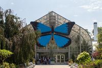 The Butterfly Show at the Krohn Conservatory