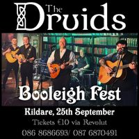 The Druids Live at Booleigh Fest!