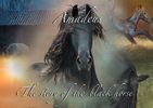 Amadeus the story of the black horse audio book