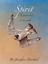 Spirit the fastest bird in the world 