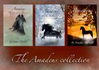 Amadeus story book collection