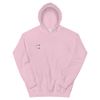 Should I Hoodie - Ace Flag