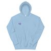 Should I Hoodie - Bi Flag