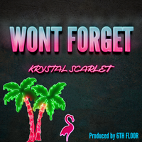 Won't Forget by Krystal Scarlet