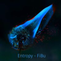 Entropy by FiBu