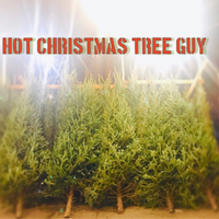 Hot Christmas Tree Guy  by Terry Radigan