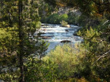 San Joaquin River
