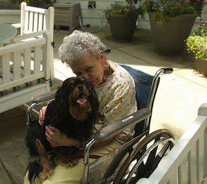 Betty served with Therapy Dogs International and loved to give cavalier kisses to seniors!