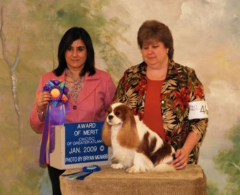 AOM CH PASCAVALE PANCHO Eng. Ch Pascavale Enchanted x Eng Ch Winnie At Pascavale Breeder - M. Levy & M. Sedgwick Owners - Mrs. Paula Ayers & Mrs. Brenda Martz Handled by - Mrs. Paula Ayers
