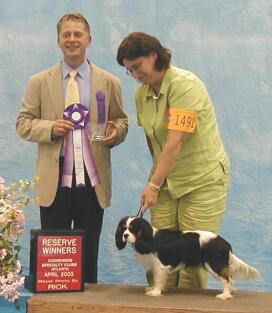 Reserve Winners Dog: KEXBY TOUCHSTONE AT AVONLEA
