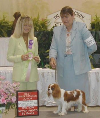 Best Puppy in Sweepstakes: ST JON SUPERNATURAL
