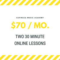 (2) Thirty Minute Lessons - Bi-Monthly Rate