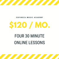 (4) Thirty Minute Lessons - Our Most Popular Rate!