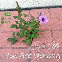 YOU ARE WORKING by SweetLife