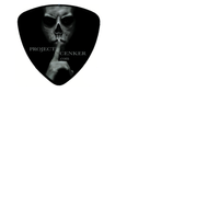 Guitar Pick (3 pack)