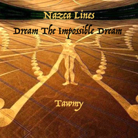 Dream tHe ImpossibLe Dream by Tawmy