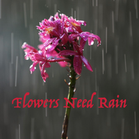 Flowers Need Rain by Tawmy with Rita Miller