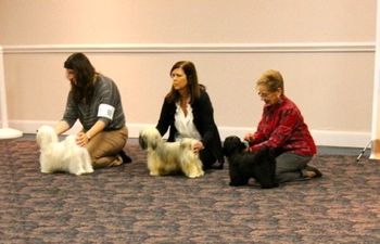 At Nationals in 2012, Genny is in the middle with her mother Ally to the left and Genny's daughter, Pippa,to the right. These three won the first ever generations class at Nationals
