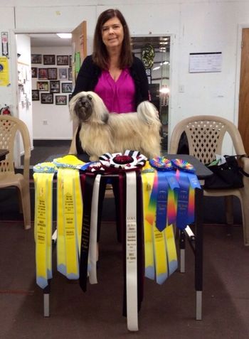 Genny and all her ribbons in Florida in 2014
