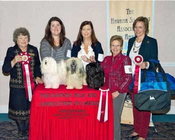 At Nationals in 2012, Ally, Genny and Pippa win the Generations class
