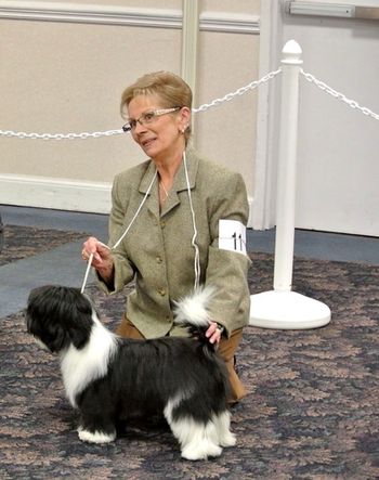 Helen and Crosby in the ring from Nationals 2012
